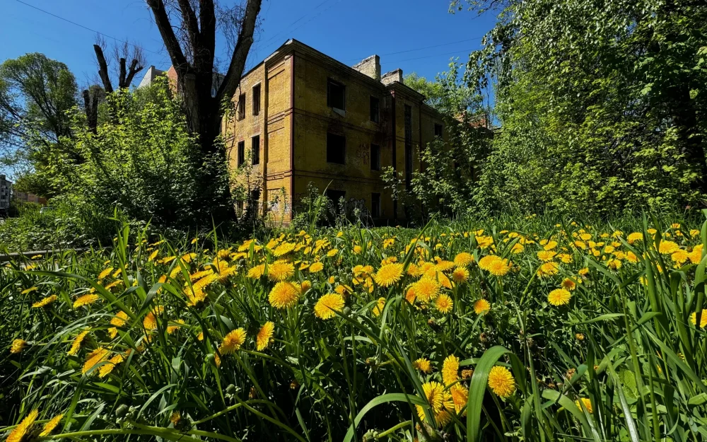 Брянская прокуратура забыла про жуткое заброшенное здание в центре города
