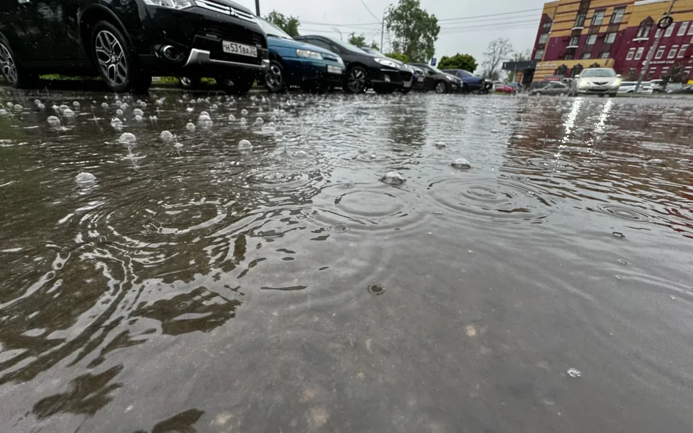 На Брянскую область 22 мая обрушатся дожди с грозами и градом при 28 градусах тепла