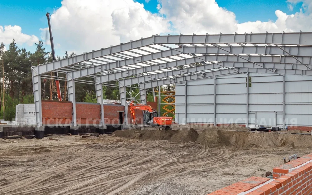 В Брянске построят зимний дворец за 325 млн рублей для всех любителей спорта