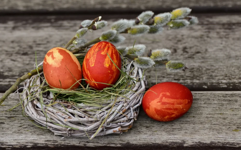 Россиянам рассказали, как правильно покрасить яйца к Пасхе