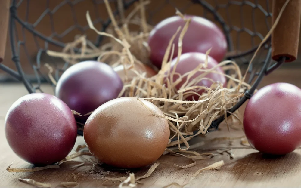 Жителям Брянской области назвали допустимую норму употребления яиц на Пасху