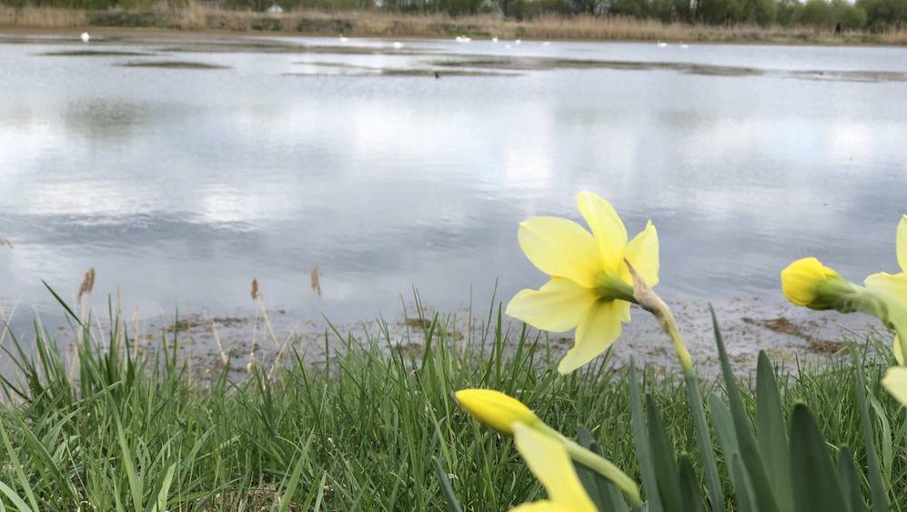 В Брянской области во время оранжевого уровня опасности похолодает до 1 градуса мороза
