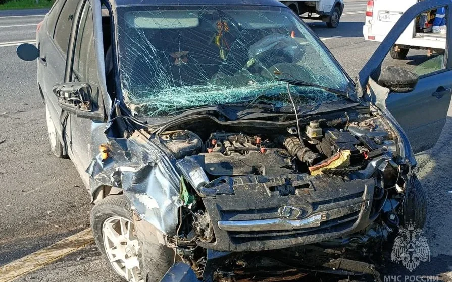 Брянские спасатели рассказали о произошедшем в Выгоничском районе ДТП