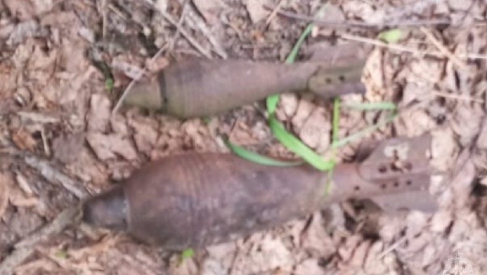 В Навлинском районе Брянской области утром 14 мая обнаружили две мины