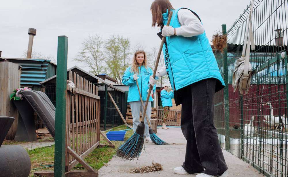 Остановить домашнее насилие, спасти животных, помочь матерям — топ-3 инициативы «Новых людей» для брянцев
