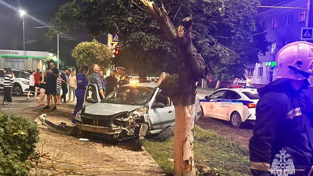 Брянцы сообщили, что срезавший дерево водитель летел на космической скорости