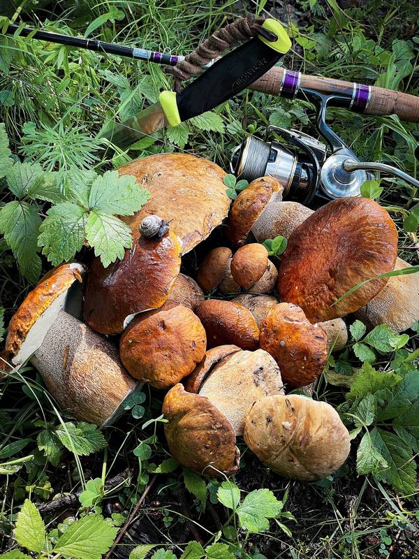 Известный рыбак первым в Брянске открыл сезон белых грибов