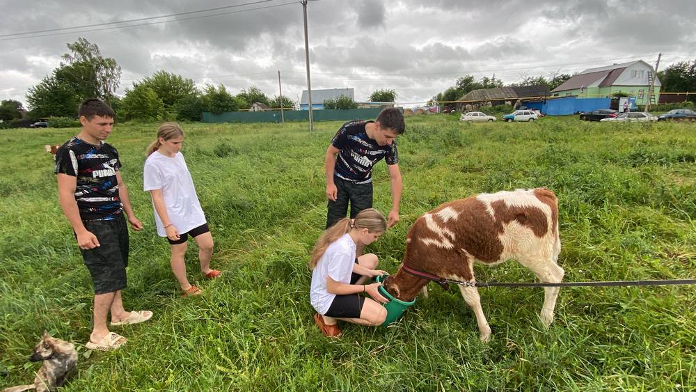 Курские братья-близнецы женились на сестрах-близнецах