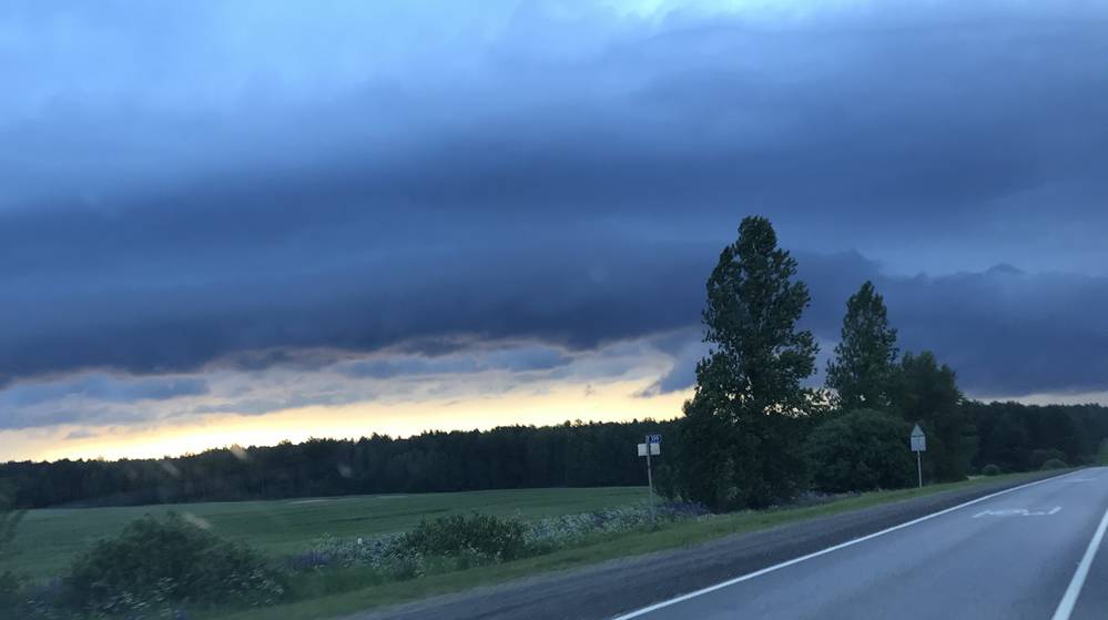 На Брянскую область обрушатся три удара стихии 2 июля