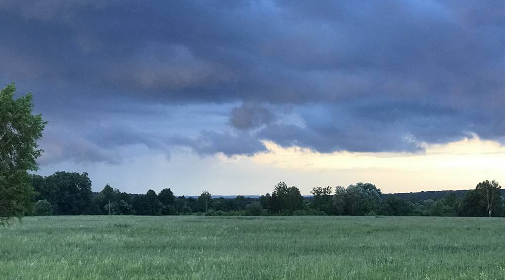 На Брянскую область 23 июля обрушатся ливни с грозами и градом