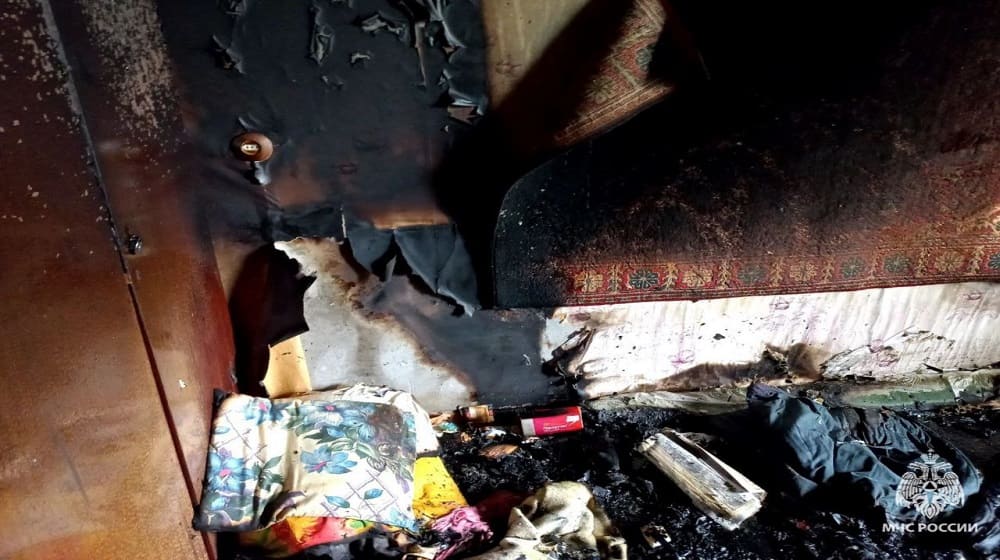 Стала известна причина гибели 78-летней женщины при пожаре в брянском Сельцо