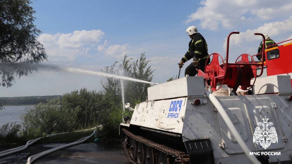 Загоравшие на пляже Орлика брянцы переполошились при виде транспортера