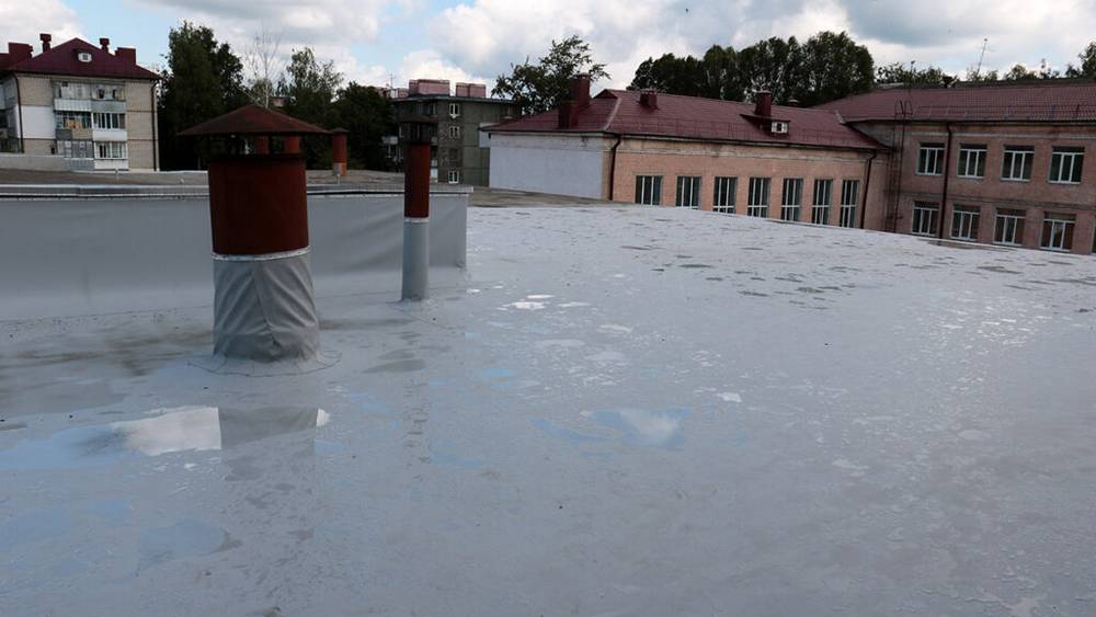 Кровли и спортзалы 14 школ Брянска обновят к новому учебному году