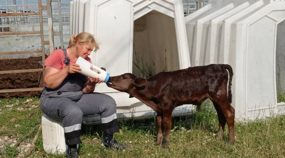 Человеческий фактор агрохолдинга «Мираторг»