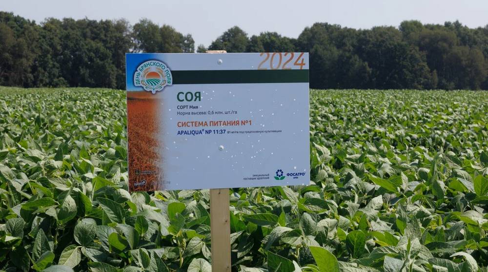 Формула успеха – достойный урожай