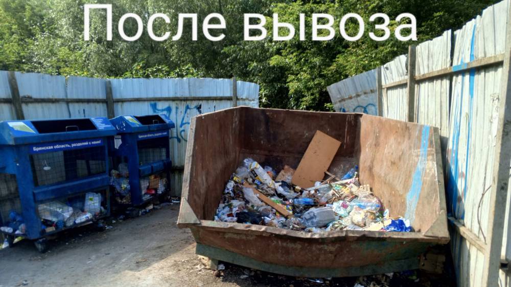 Власти Брянска составили протокол на «Чистую планету» за грязь