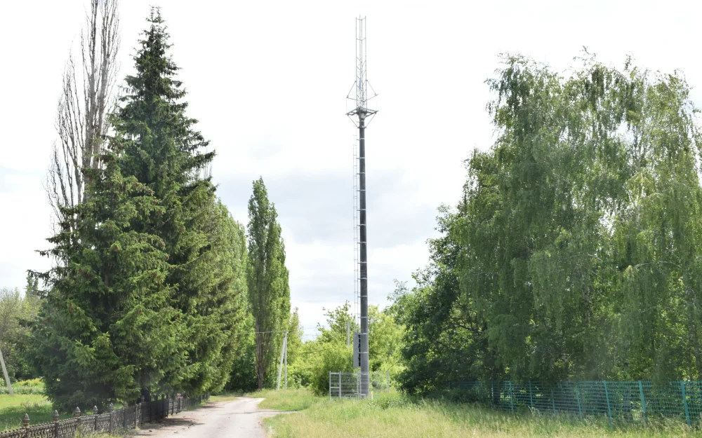 Вектор на цифровое равенство: как «Ростелеком» трансформирует Брянскую область