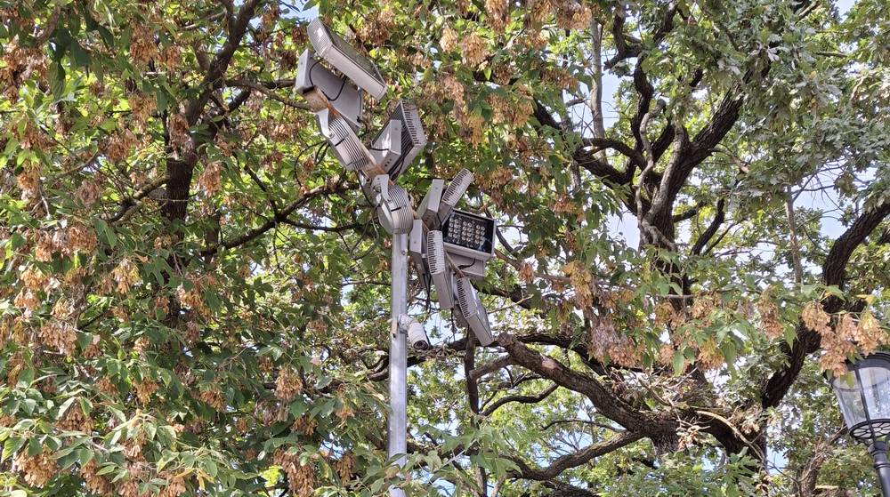 В Брянске на Покровской горе гусли Бояна остались без струн