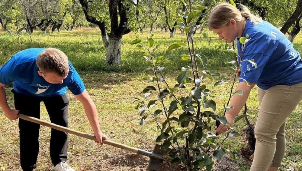 В Локте студенты аграрного университета привели в порядок яблоневый сад