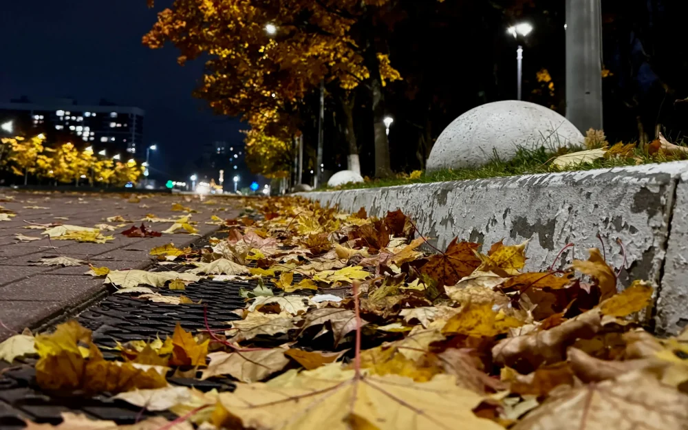 В Брянской области 15 октября пройдут небольшие дожди при 8 градусах тепла