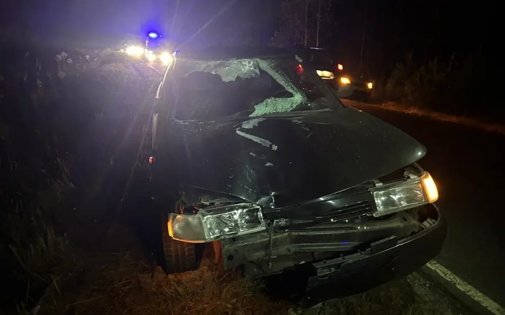 В Брянской области 74-летний велосипедист погиб под колесами легковушки