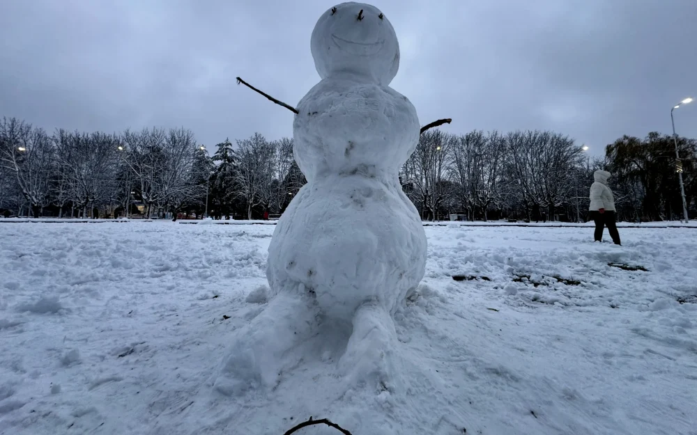 В Брянской области 13 декабря пообещали метель и 8-градусный мороз