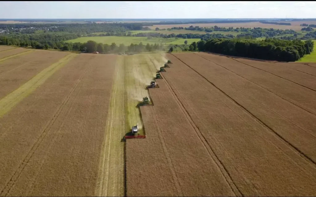 Современные транспортные системы и зерносушилки: Ключевые аспекты эффективного агробизнеса