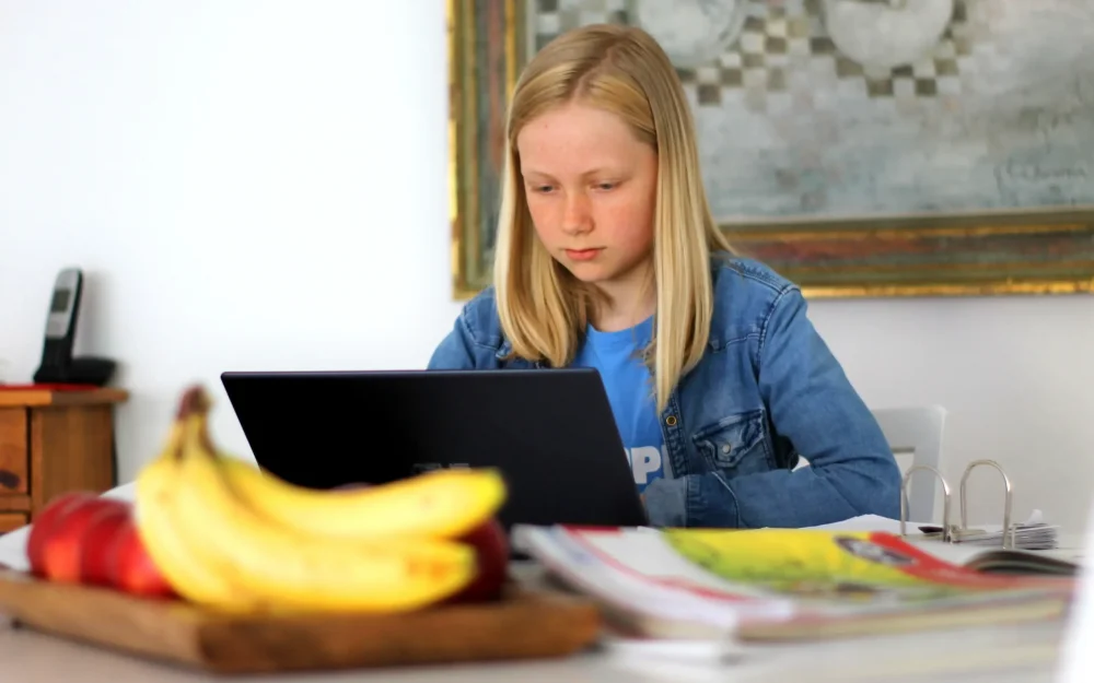 ЕГЭ: что это такое и зачем нужны курсы по литературе?