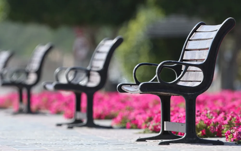 Уличные скамейки: зачем нужны, рекомендации по выбору