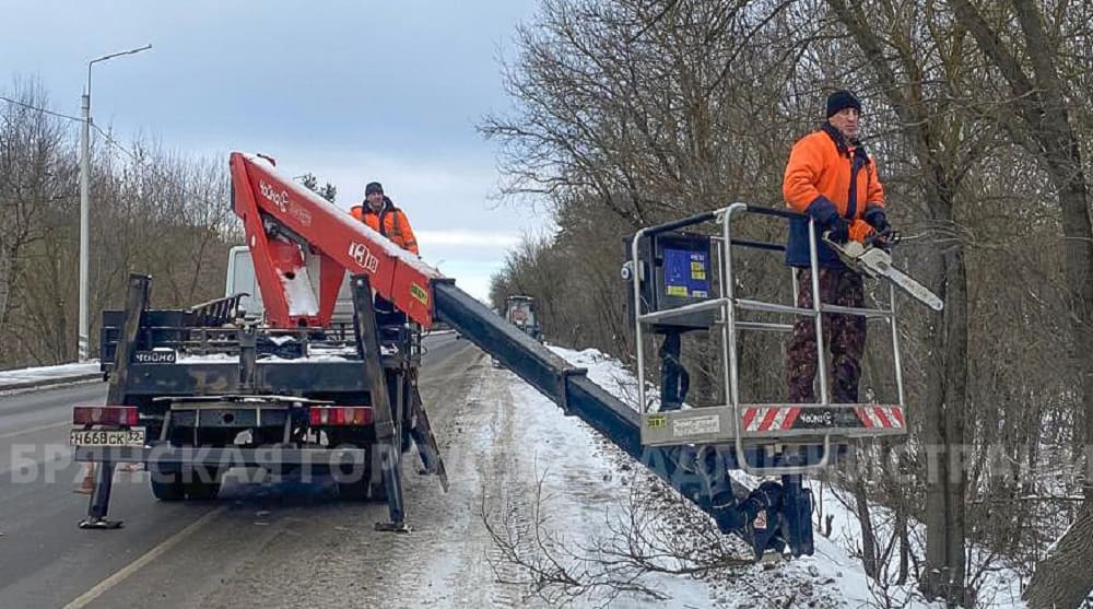 С улиц Брянска дорожники за два месяца года убрали более 300 опасных деревьев