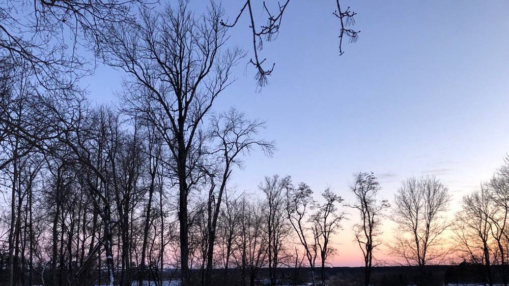 Брянцев предупредили о магнитной буре и рисках для здоровья