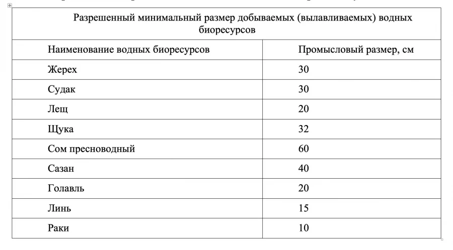 Брянским рыбакам напомнили о сезонных ограничениях на ловлю