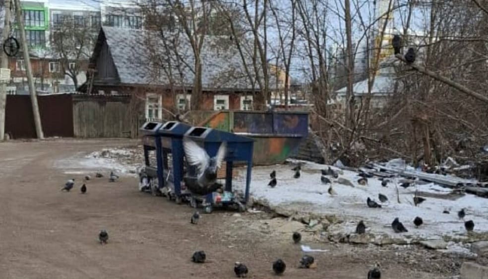 В Брянске прокуратура не обнаружила «мусорной катастрофы» в переулке Фокина