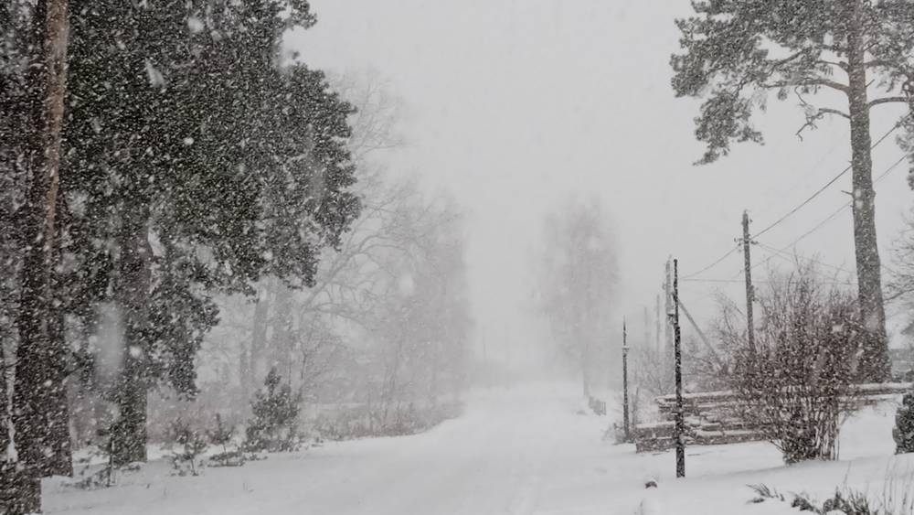 На Брянскую область обрушится первый снегопад осени