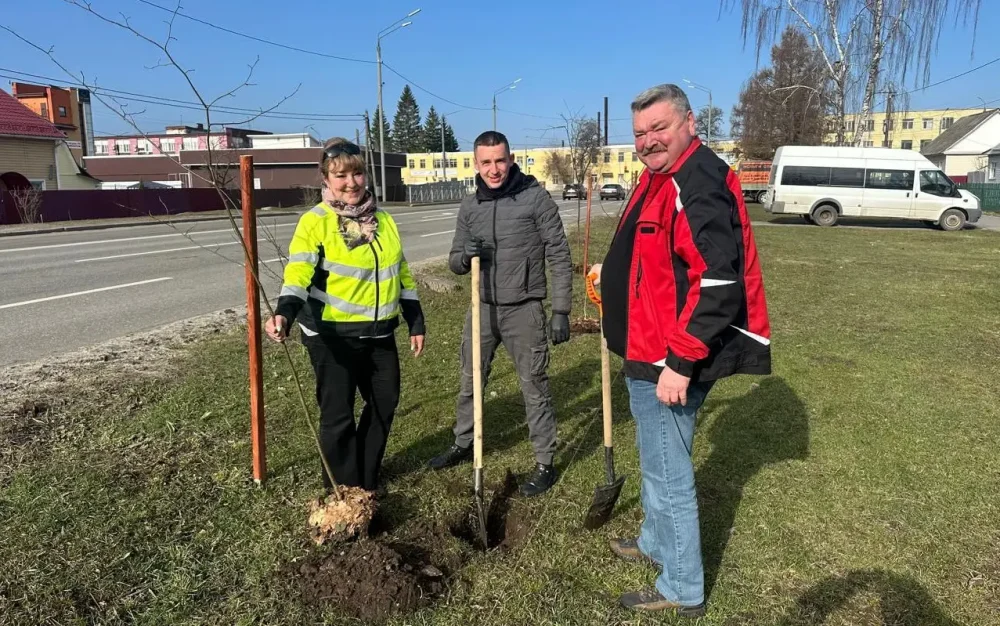 Только 2 процента жителей Брянска вышли на вчерашний субботник