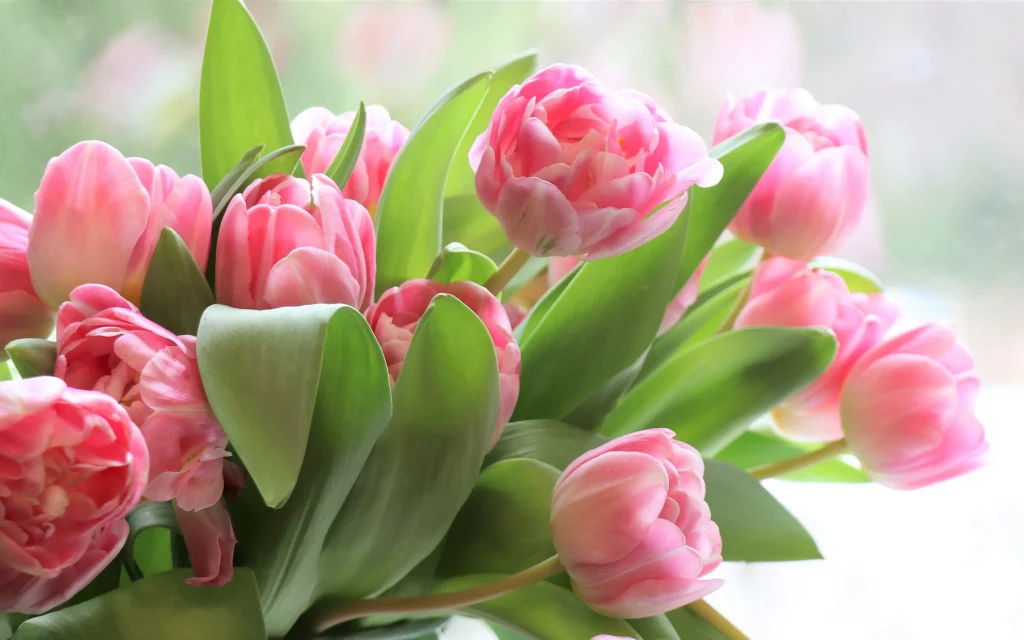 Брянцев предупредили о мошенничестве при покупке цветов в сети