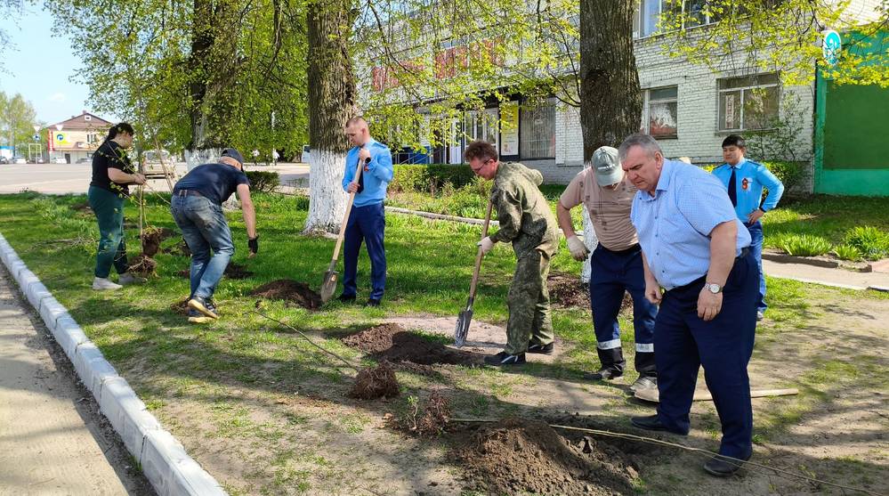 В Локте на аллее общественники и власти посадили еще 320 лип