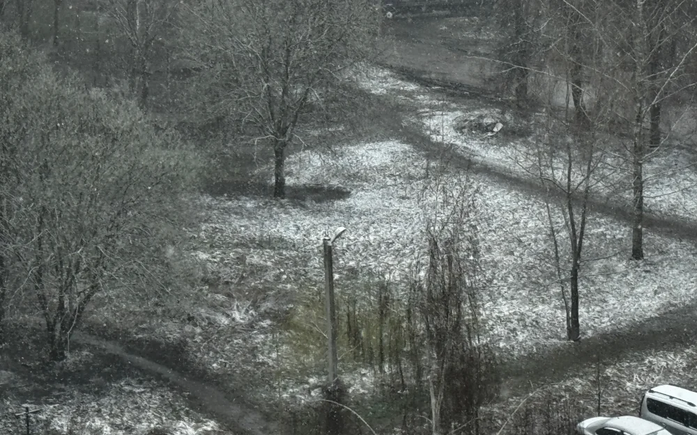 В Брянске и области начался апрельский снегопад