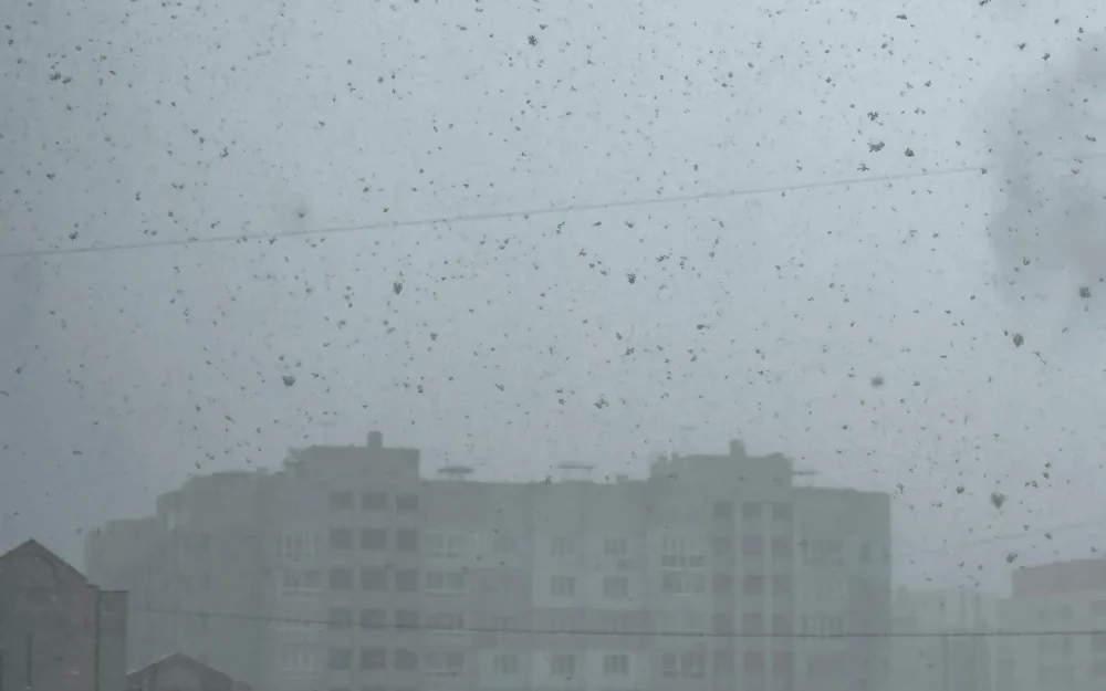 Брянск накрыл сильнейший снегопад