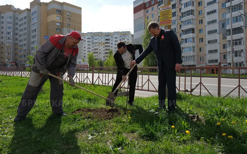 Судьи Брянского областного суда посадили 20 лип