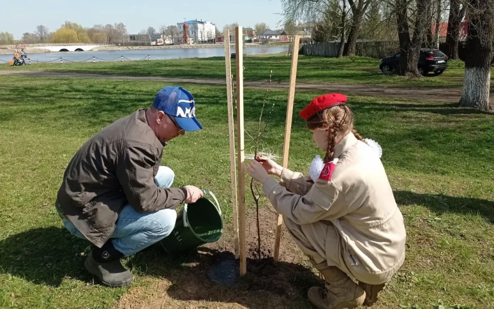 По всей Брянской области проходит Международная акция «Сад Памяти»