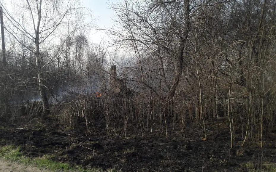 В сети появились удручающие фотографии уничтожаемого ВСУ брянского села