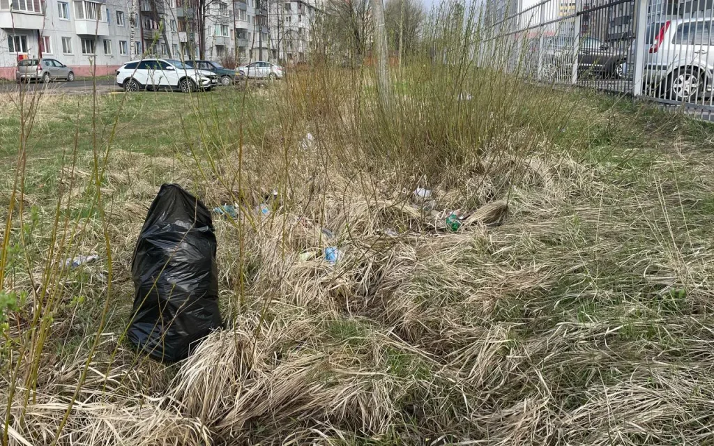 В Брянске в четверг начался субботник