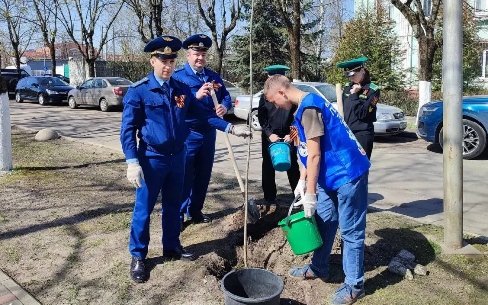 Брянская прокуратура присоединились к акции мэрии по победной высадке деревьев