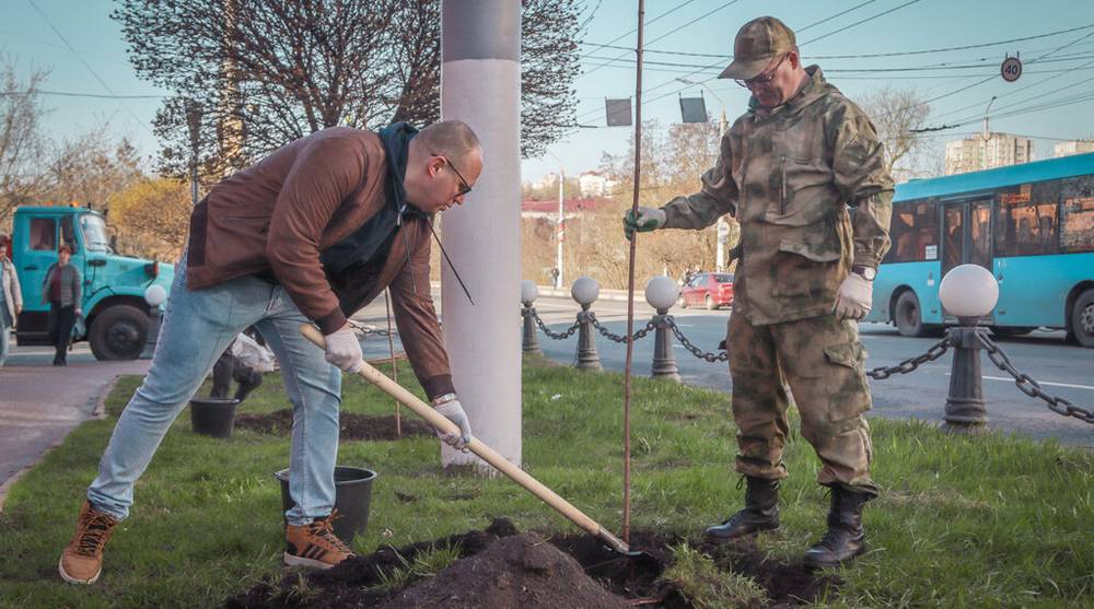 В рамках акции «Брянск зелёный» высадят более тысячи деревьев и кустарников