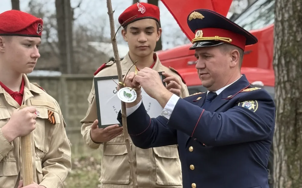 В парке Навли высадили деревья в рамках акции «Сад памяти»