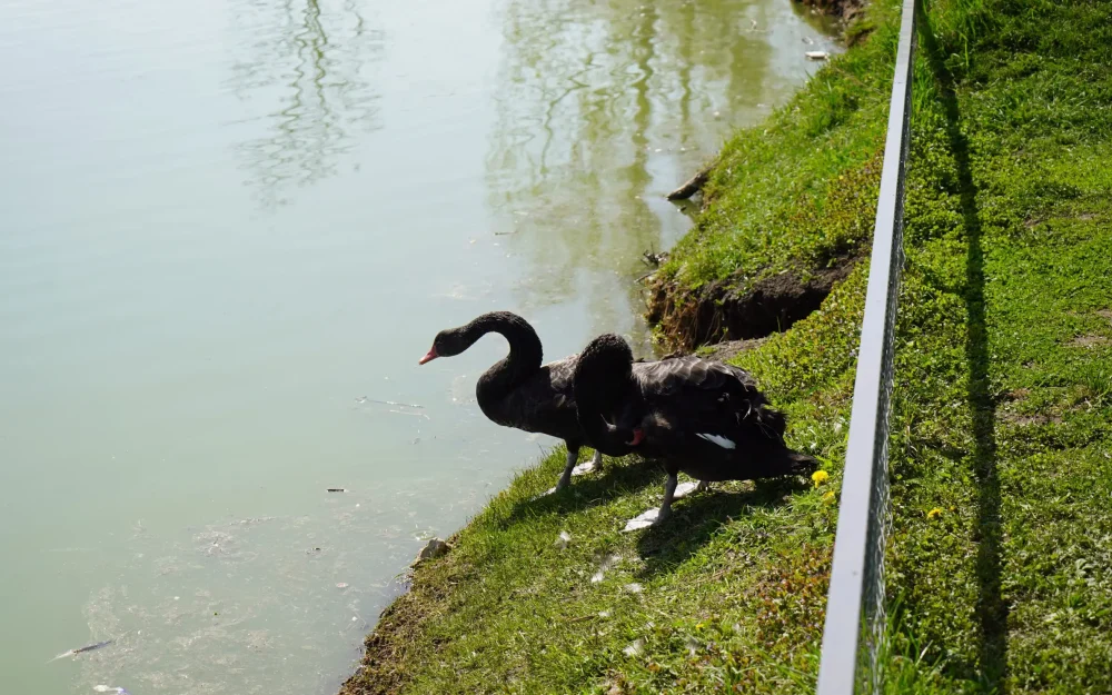 Брянский губернатор оценил новую пристройку к реабилитационному центру в Юдинове