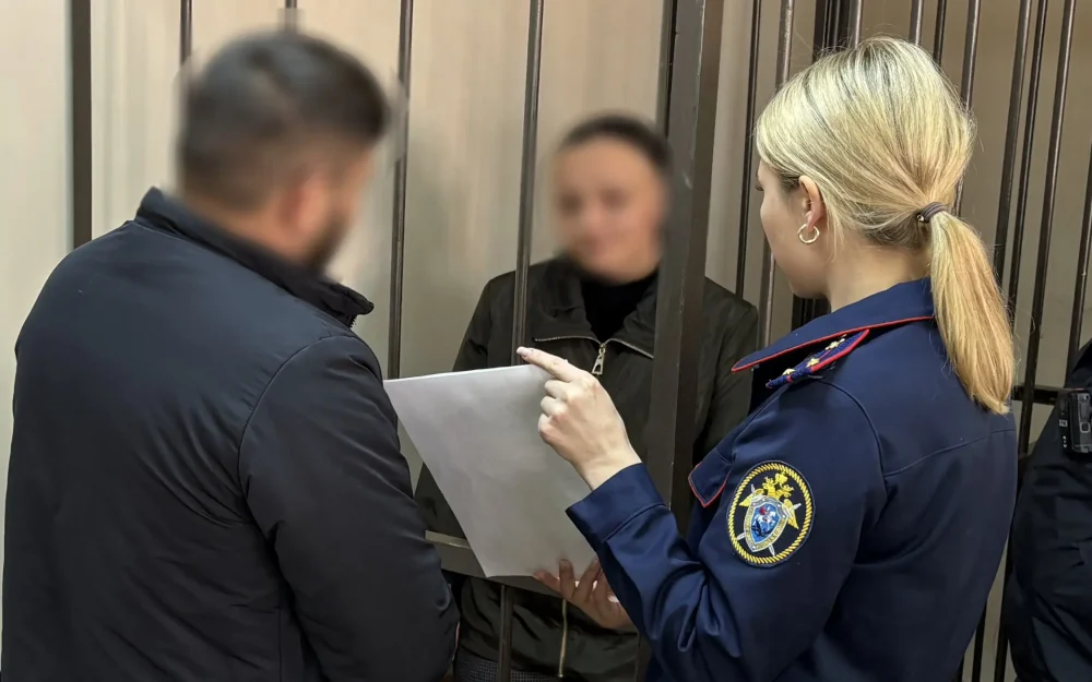 В Брянской области женщина получила 7,5 лет колонии за убийство свекрови