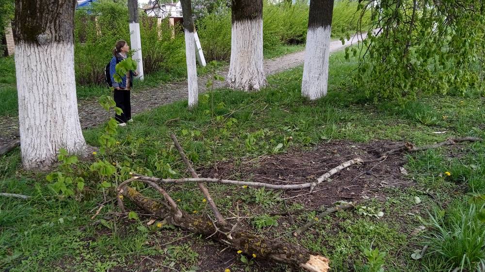 Обломки сбитого беспилотника упали возле прокуратуры в брянском Локте