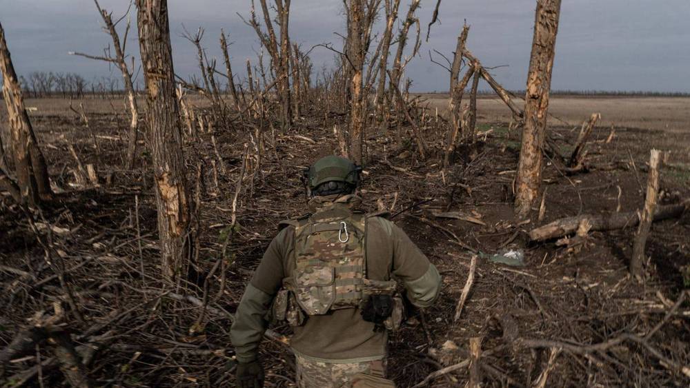 Тучи летящих в Брянск дронов выявили трусость и истерику Зеленского перед 9 Мая